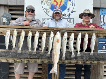 Trout are fat right now 