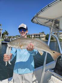 Sarasota Report Photo 2