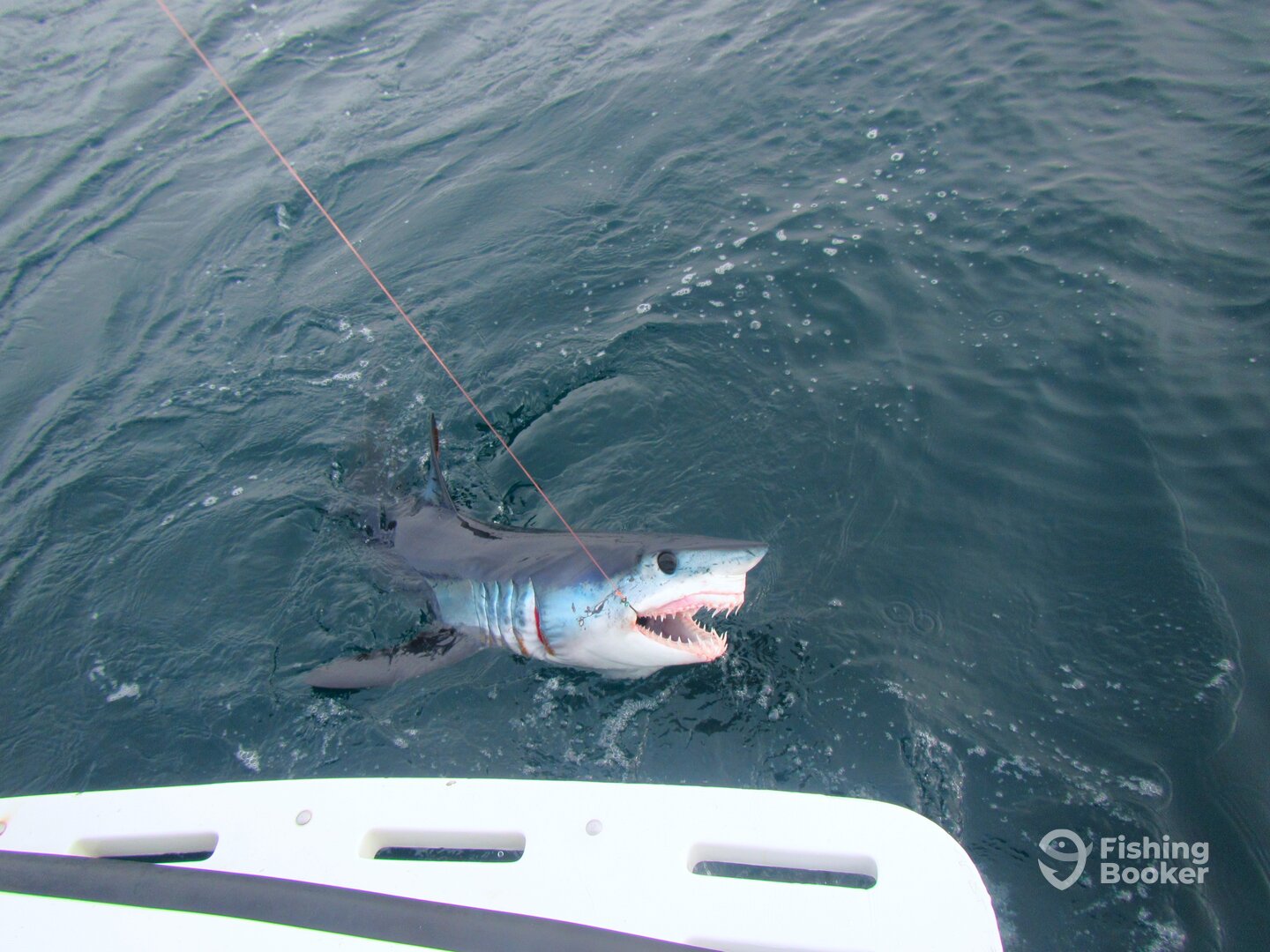 Cabo San Lucas Report Photo 0