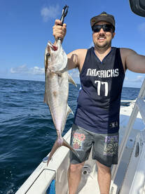 14 amberjacks 14 hookups