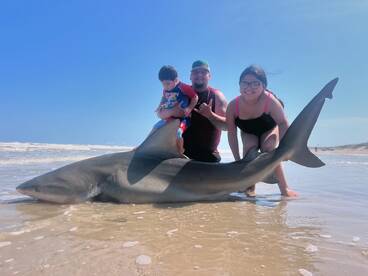 Surf Shark Fishing 
