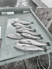 5/7/24 - AM Wade trip St Charles Bay