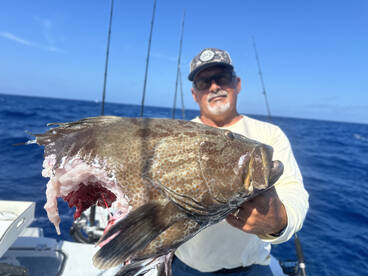 May-South Alantic Grouper 