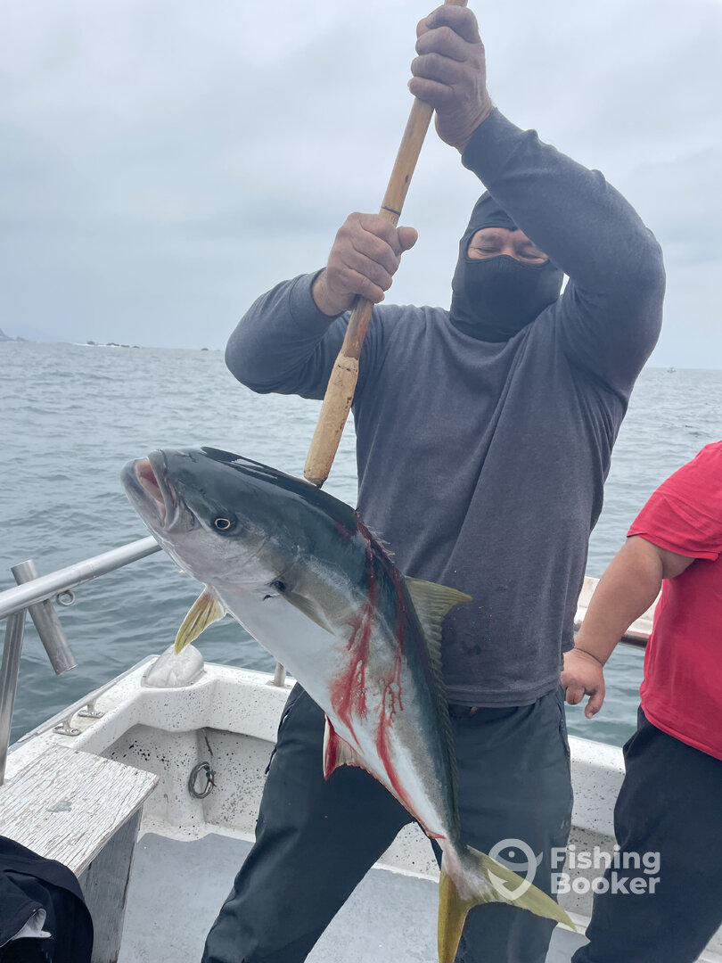 Ensenada Report Photo 0