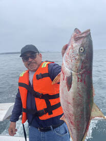 Ensenada Report Photo 1