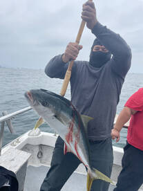 Good yellowtail today !! 