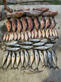 Apalachicola Report Photo 2