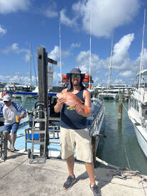 Limits of snappers all around