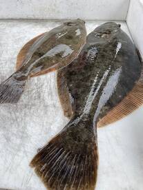 Great day on the water