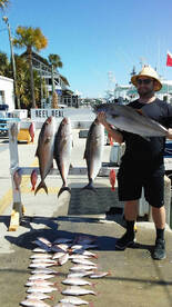 Panama City Report Photo 2