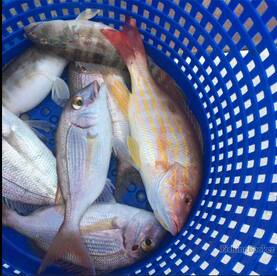 Spanish are a-chewin'!