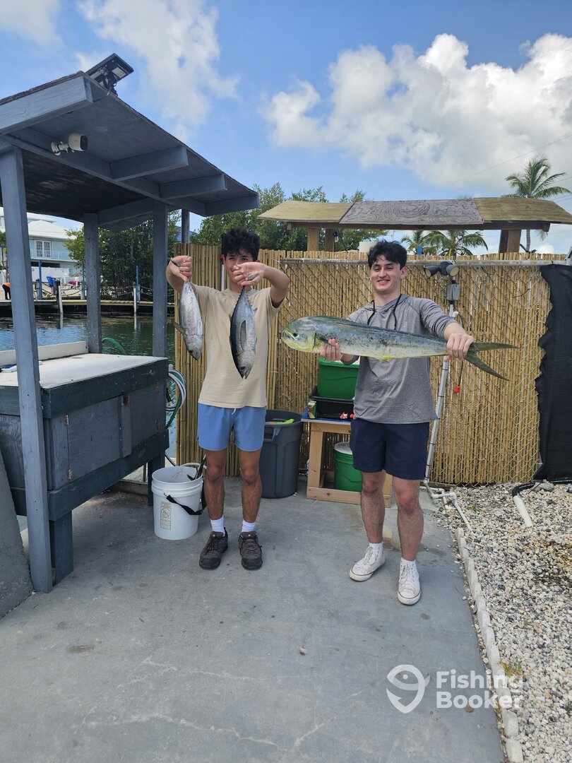 Tavernier Report Photo 0