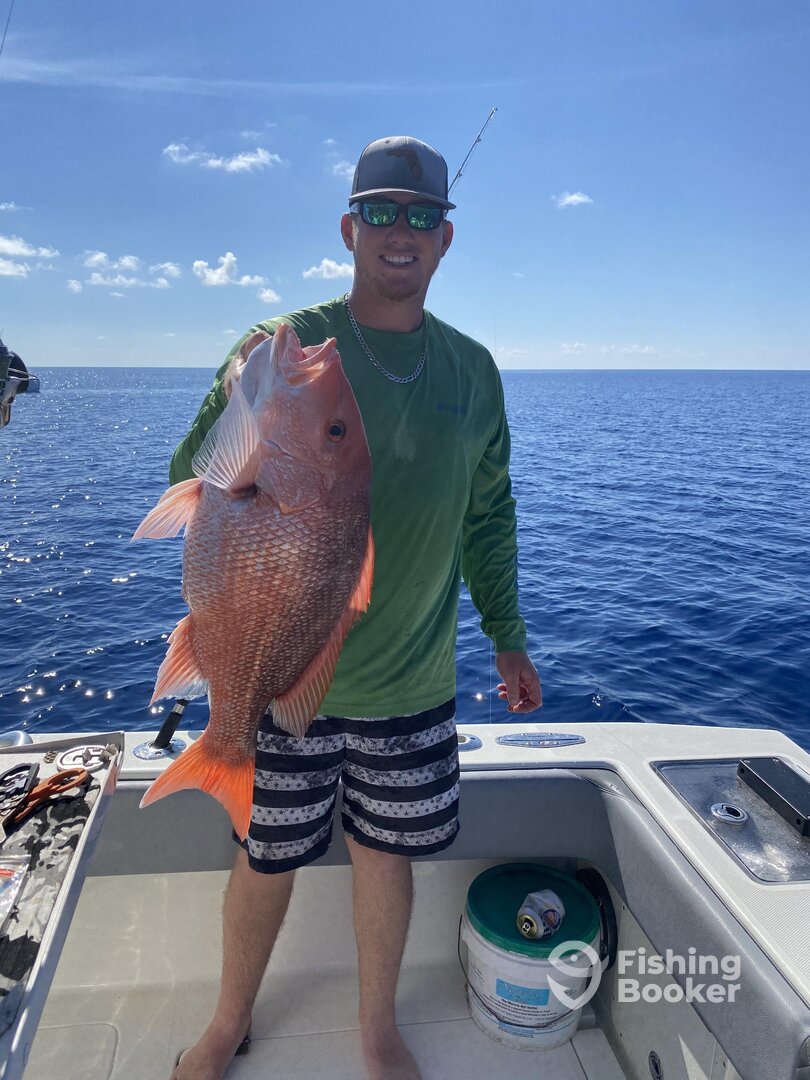 Port Charlotte Report Photo 0