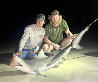 Navarre Report Photo 1