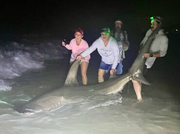 Navarre Report Photo 2