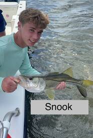 Fajardo Report Photo 1