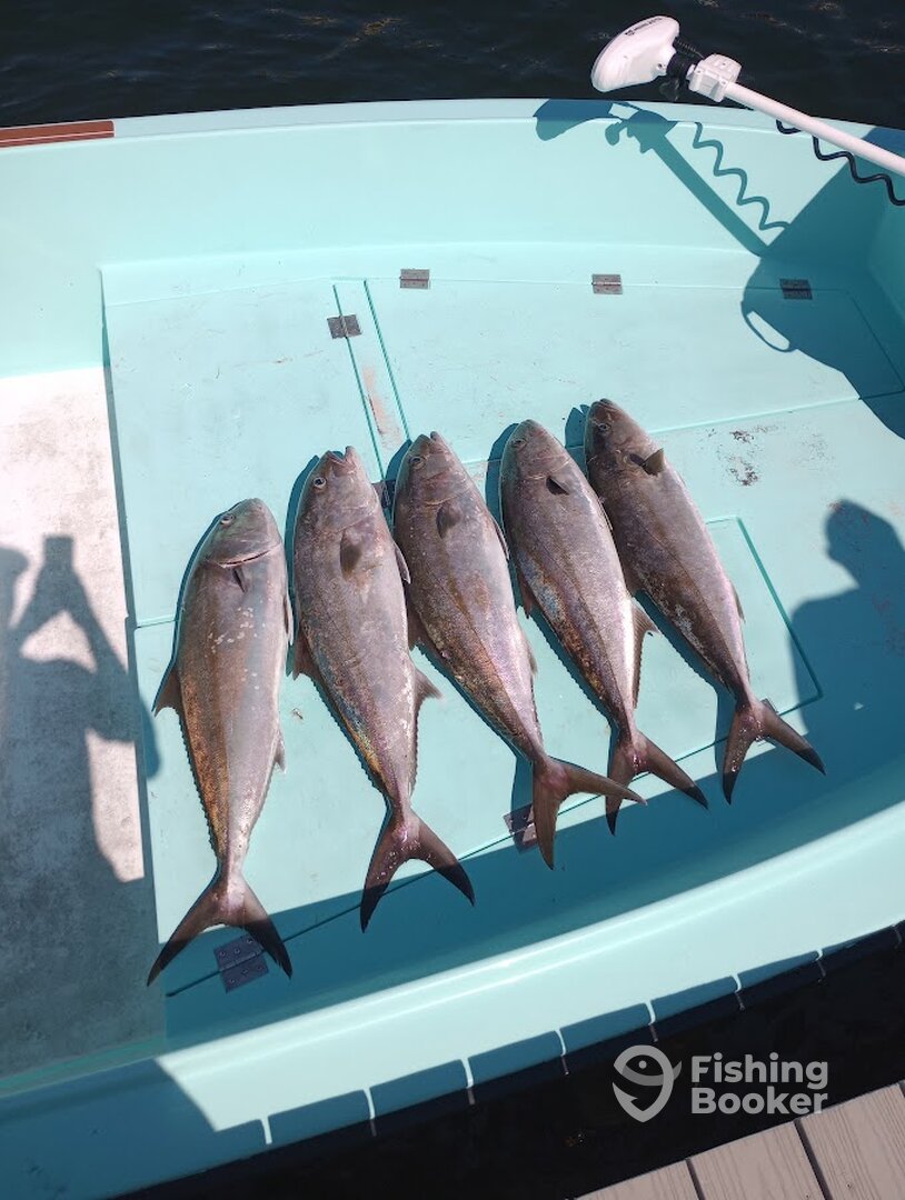 Destin Report Photo 0