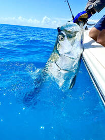 Key West Report Photo 2