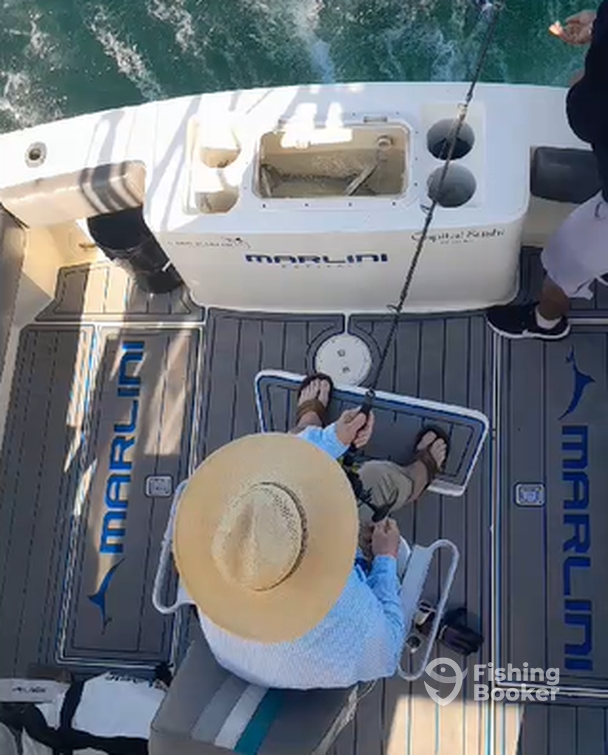 Cabo San Lucas Report Photo 0