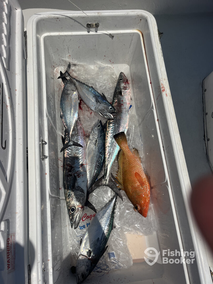 San Juan Report Photo 0