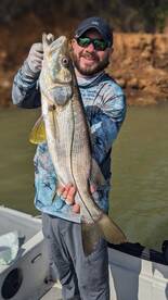 Gamboa Report Photo 2