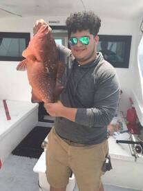 Red Grouper