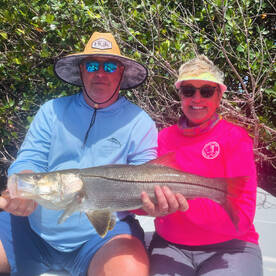 Come on lets go !!!!!!