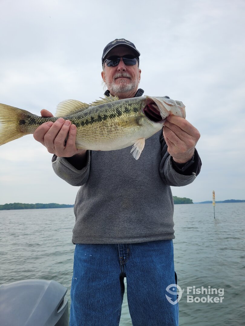 Gainesville Report Photo 0