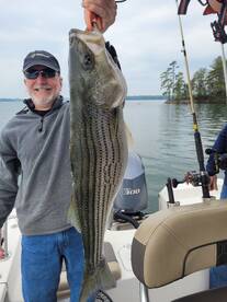 Gainesville Report Photo 1