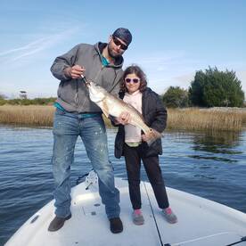 Little Ashley River stud