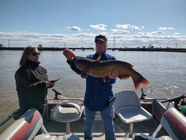Monster Channel catfish 