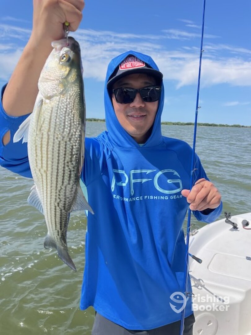 Lewisville Report Photo 0