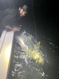 Tarpon Season 2024
