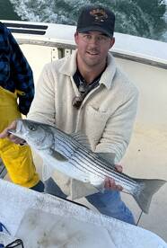 Stripers Bluefish Lots of Birds