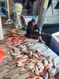 Panama City Beach Report Photo 2