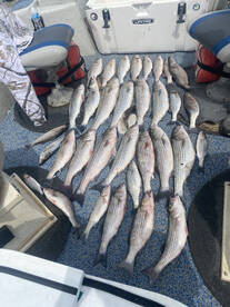 Platter Report Photo 2