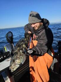Live bait Flounder Fishing to Catch Ling