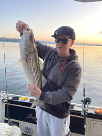The bite is remaining on fire right now