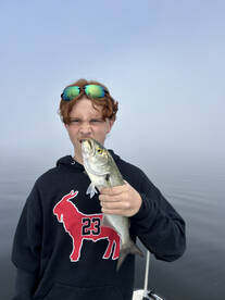 Beaufort Report Photo 1