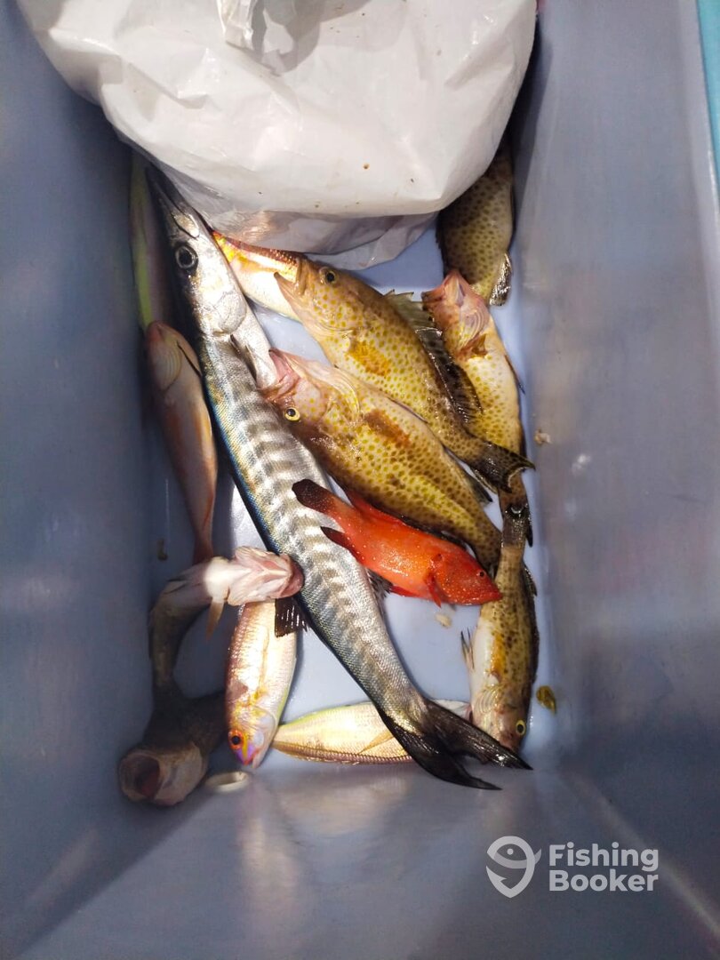 Fujairah Report Photo 0