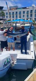 San Jose del Cabo Report Photo 2