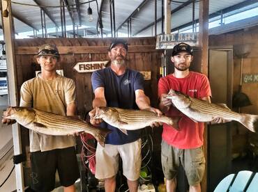 Kingston Report Photo 2