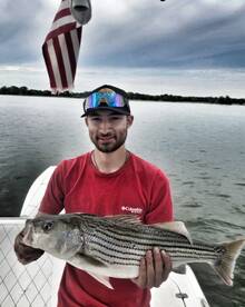 Kingston Report Photo 1