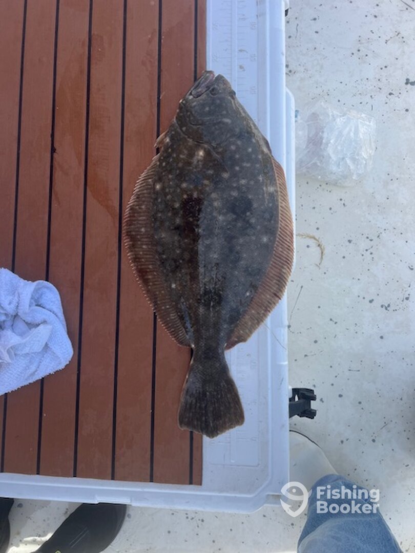 Brigantine Report Photo 0