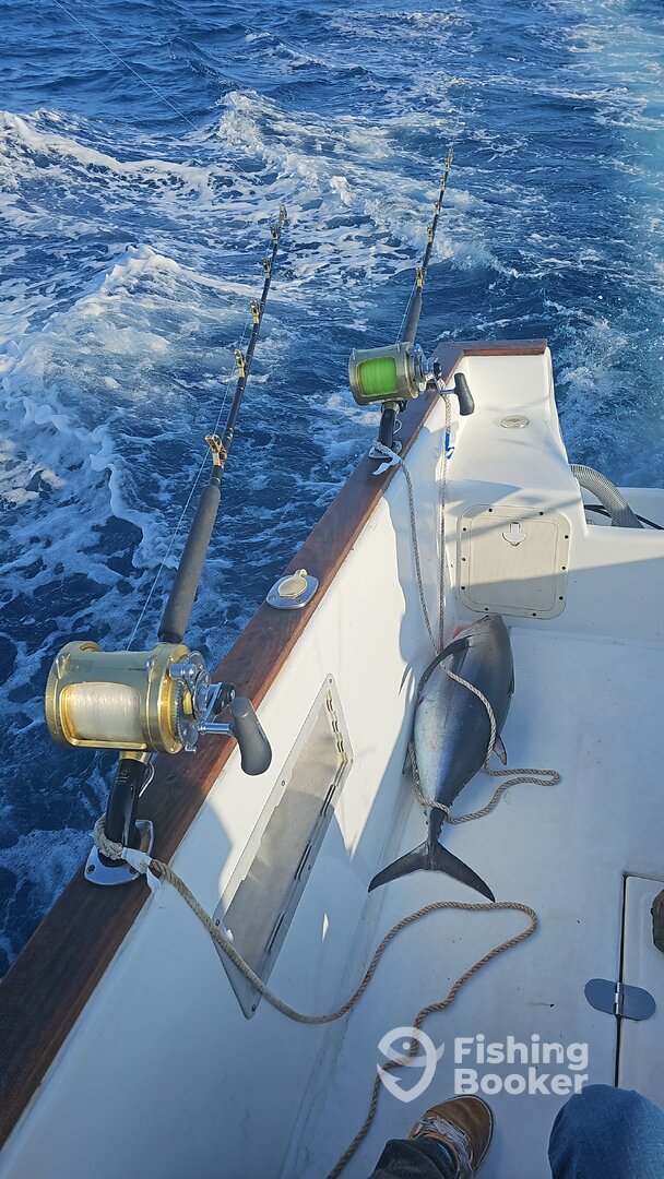 Ponta Delgada Report Photo 0