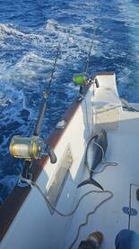 A tuna broke my lure, but I still manage