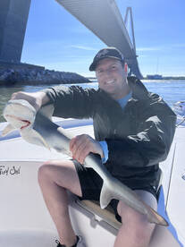 Charleston Report Photo 2