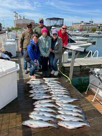 Limits and more limits of cohos 