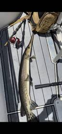 Dry season ramped up