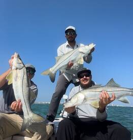 Space Coast Snook!